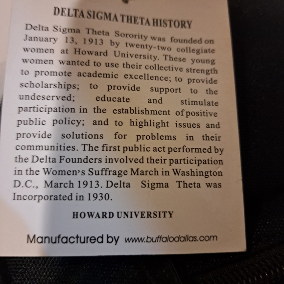 DELTA BAG SLING - Picture 7 of 9